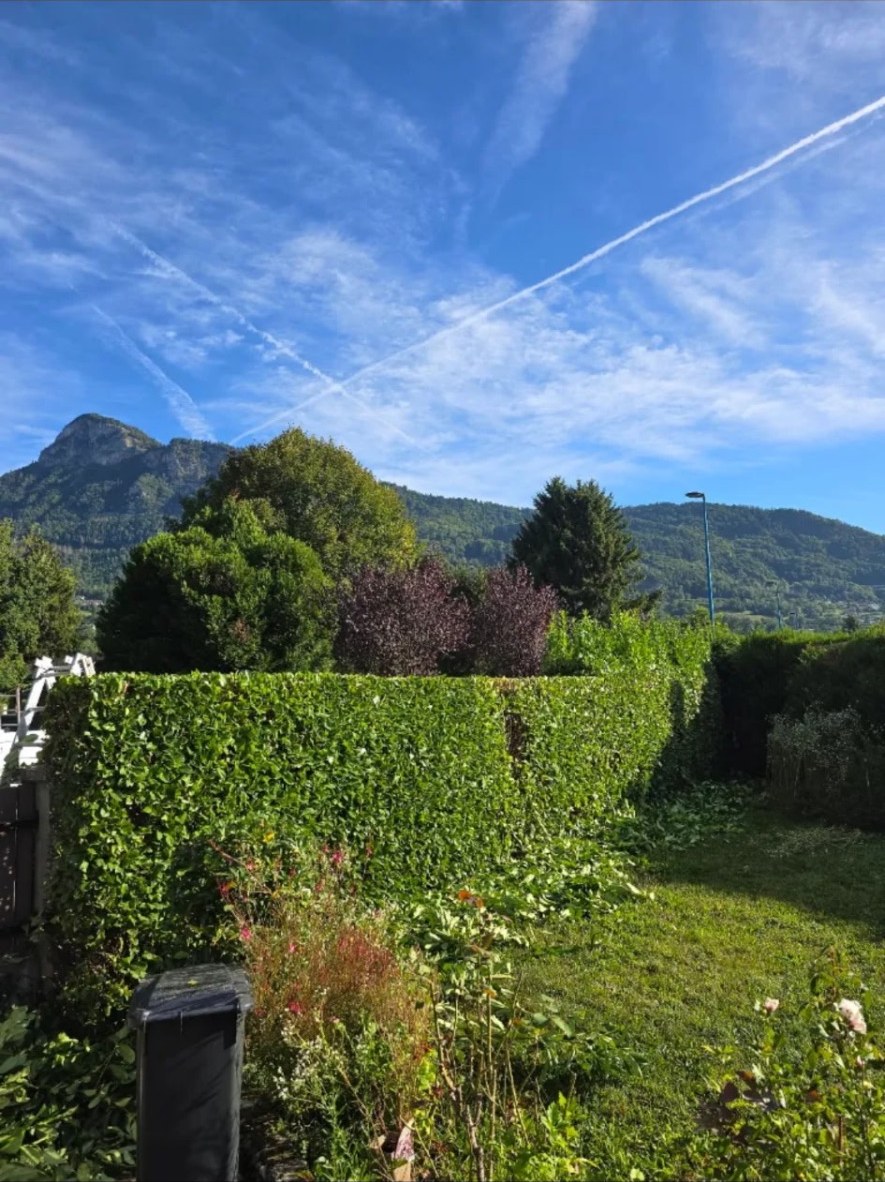 Haie taillée au carré avec vue dégagée sur les massifs
