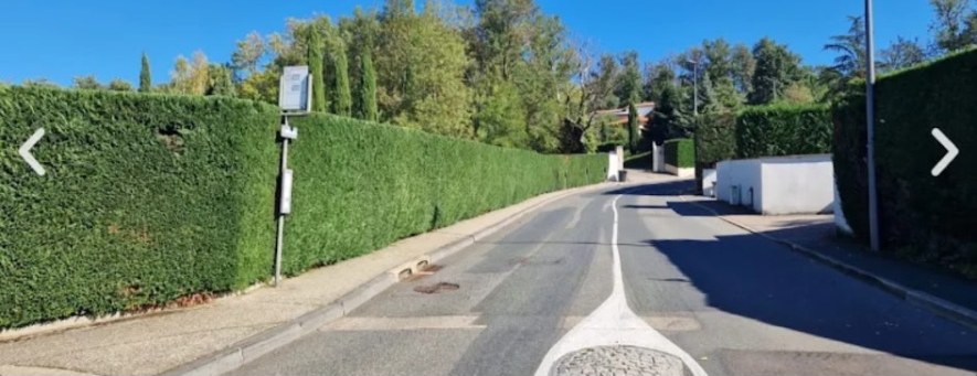 Haie taillée bien droite le long d'une route résidentielle